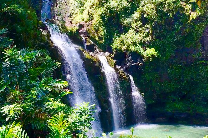 PRIVATE Road to Hana Tour - Meeting Billy and setting the day’s pace