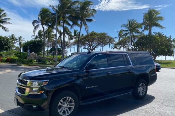 Private Round-Trip Transfer: Maui Kahului Airport to Maui Hotels - Key points to know before booking