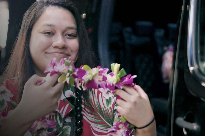 Private Round-Trip Transfer: Maui Kahului Airport to Maui Hotels - Who will get the most from this transfer