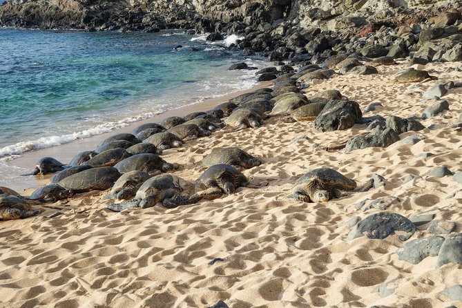 Private Shore Excursion: Best Highlights of Maui - Maui Tropical Plantation in a 40-minute stop