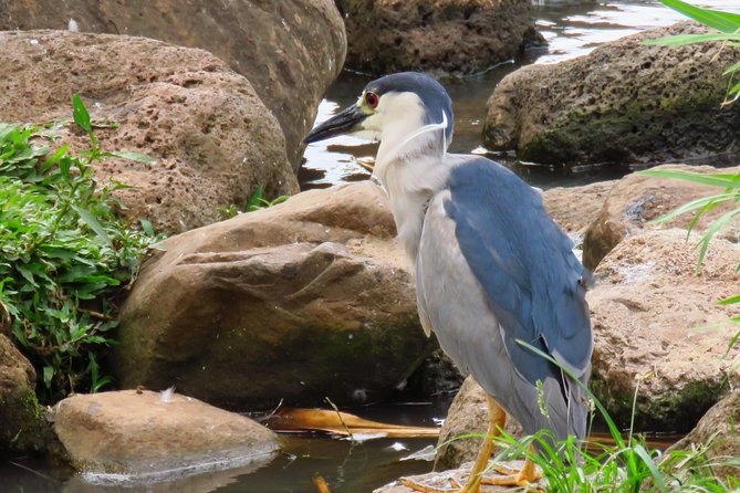 Private Shore Excursion: Best Highlights of Maui - Port pickup and timing details