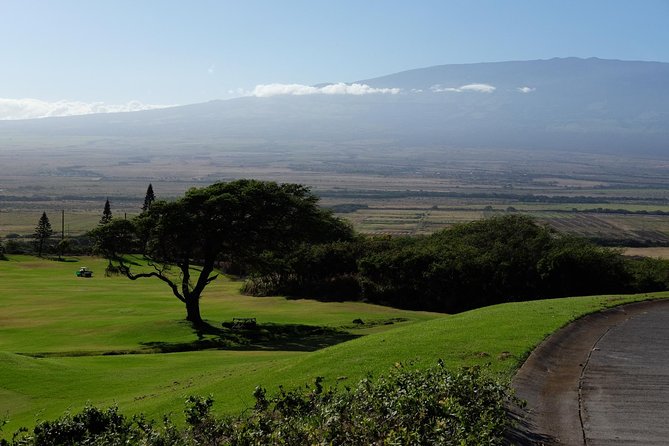 Private Shore Excursion: Best Highlights of Maui - Who should choose this Maui excursion?