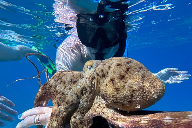 Private Snorkel Photos Included - Key points for your Maui morning