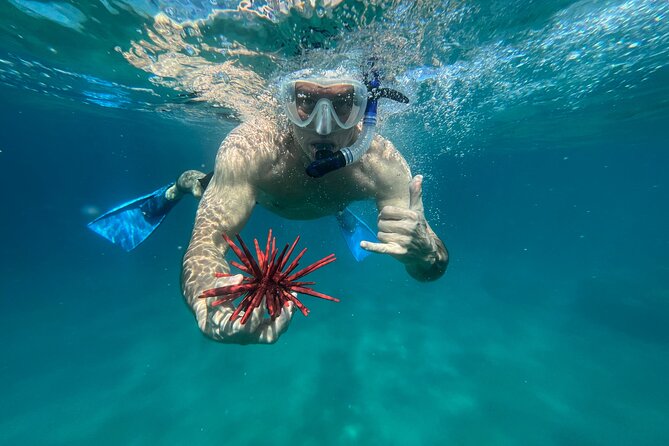 Private Snorkel Photos Included - A quieter way to meet Maui’s sea life