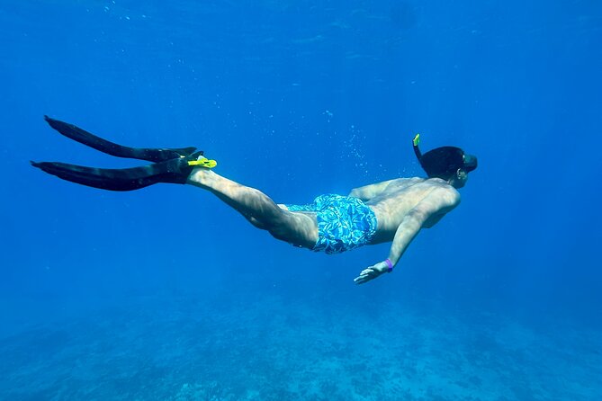 Private Snorkel Photos Included - Getting comfortable in the water