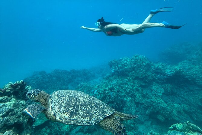 Private Snorkel Photos Included - Is $155 per person a fair deal?