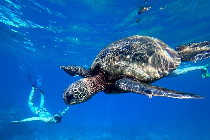 Private Snorkel Photos Included - Choosing the right beach for the morning