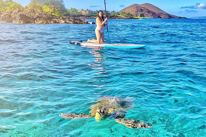 Private Stand Up Paddle Boarding Tour in Turtle Town, Maui - Sea turtles, coral, and a chance at rare wildlife