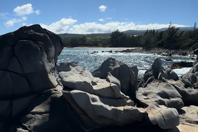 Private West Maui Coastline Open-Air Jeep Tour - Is $700 a fair price for four people?