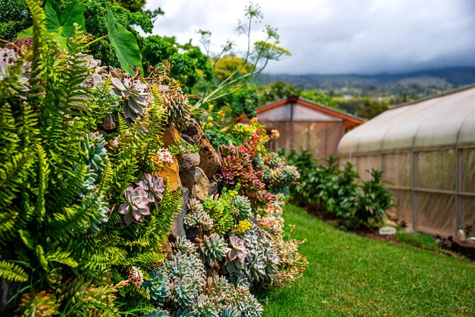 Pueo Farm Tour (1.5 hr) Upcountry Kula Maui Hawaii - The 365-degree view from Kula