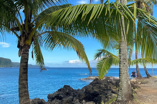 Rainforest Tour to Hana and Beyond - Waiʻanapanapa black-sand coast