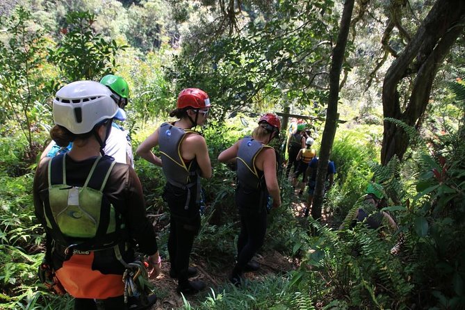 Rappel Maui Waterfalls and Rainforest Cliffs - Rain, flooding, and the safety trade-off