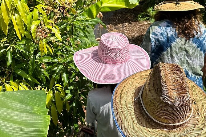 Regenerative Mango and Tropical Fruit Tour in West Maui - Key points at a glance