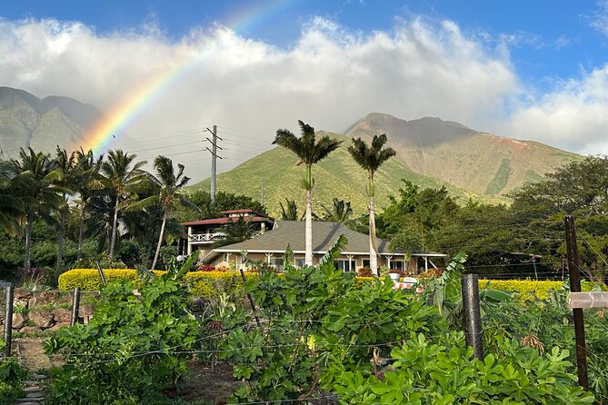 Regenerative Mango and Tropical Fruit Tour in West Maui - Starting beneath the passionfruit trellis