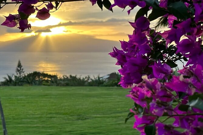 Regenerative Mango and Tropical Fruit Tour in West Maui - Ocean views, mountain views, and a little photo help