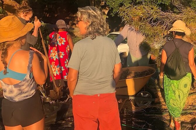 Regenerative Mango and Tropical Fruit Tour in West Maui - Timing, weather, and practical planning