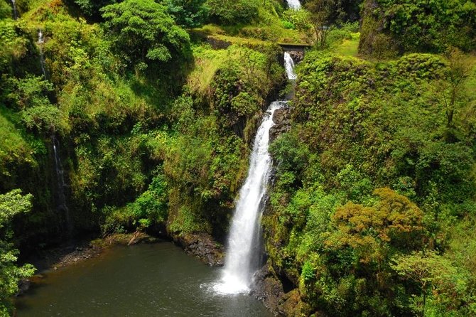Road To Hana Black Sand Beach Waterfalls & Turtles Tour - Pua’a Ka’a State Park starts the nature stops