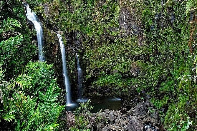 Road to Hana Deluxe Rainforest & Waterfall Experience from Maui - Why the Road to Hana works better with a driver