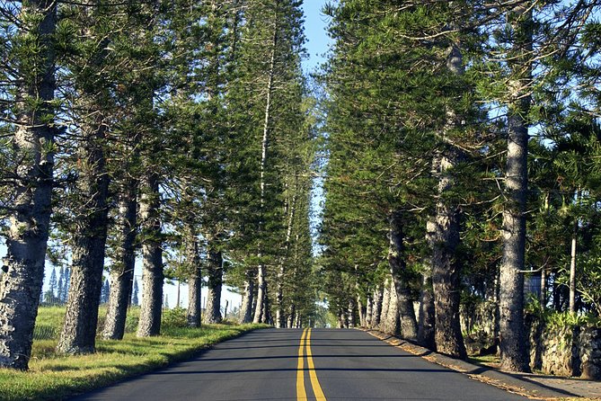 Road to Hana: Full-Day Scenic Drive with Blacksand & Waterfalls - Ke‘anae Point and old-style island life