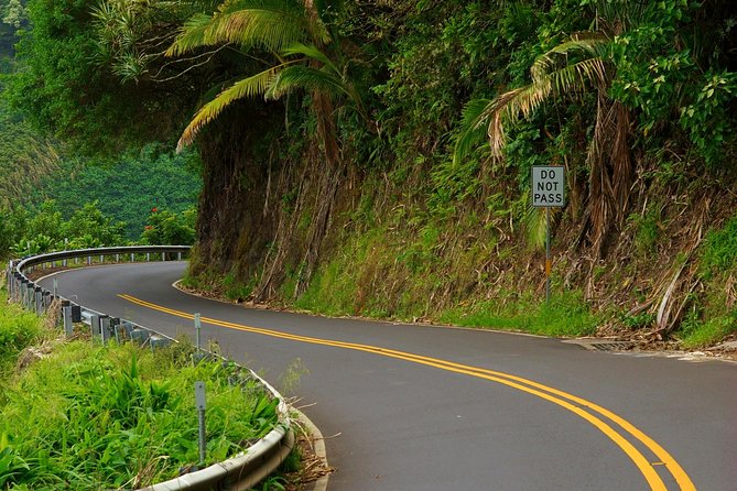 Road to Hana: Full-Day Scenic Drive with Blacksand & Waterfalls - Views from Wailua Valley to the rainbow trees
