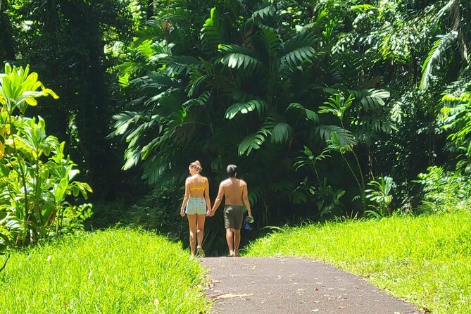Road to Hana Full Day Tour with A Guide - Why a private Road to Hana day can be worth the price