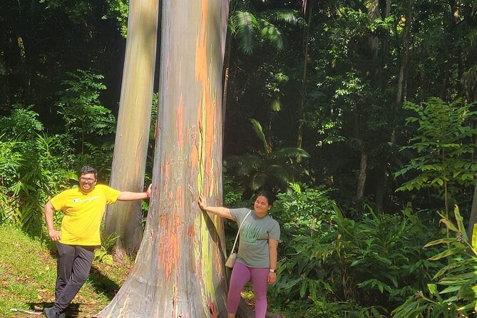 Road to Hana Full Day Tour with A Guide - Ke‘anae Arboretum and rainbow eucalyptus