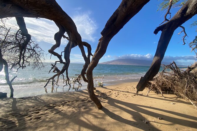 Road to Hana Maui Tours - Why the Road to Hāna works best with a guide