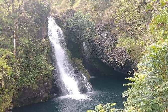 Road To Hana: Maui Waterfall Hiking Tour in Private Jeep - The bamboo forest walk