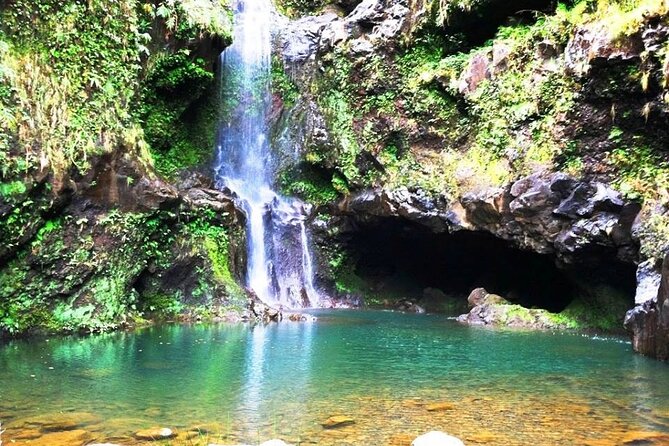 Road to Hana Private Jungle Tour - Kaumahina and Ke‘anae: views, taro, and banana bread