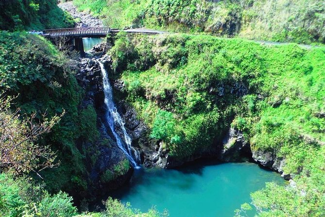 Road to Hana Private Jungle Tour with Lahaina Side pick up - Garden of Eden: a gentle first stop