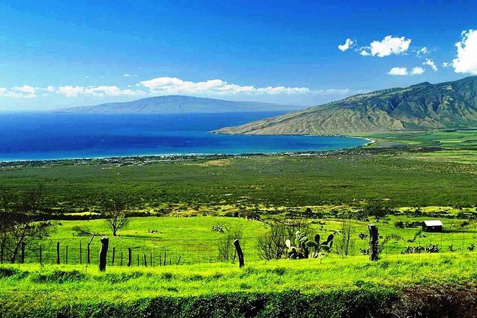 Road to Hana Private Jungle Tour with Lahaina Side pick up - Hana town and the lunch decision