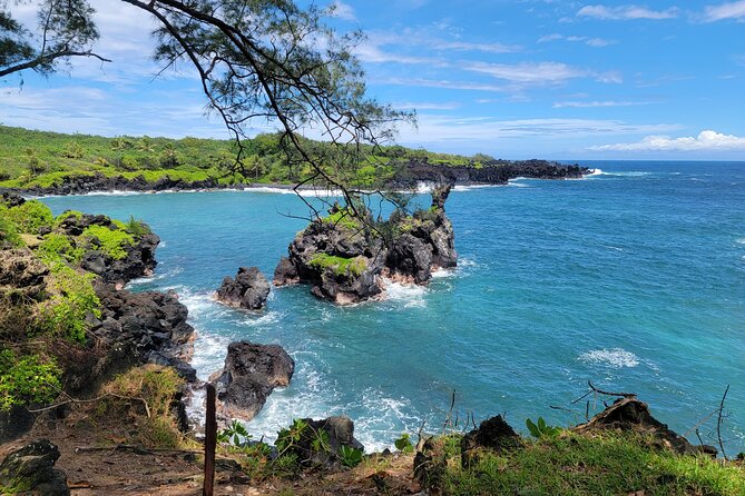 Road to Hana Rainforest, Black Sand Beach, Waterfalls & Lunch - Why the Road to Hana is best seen from a van