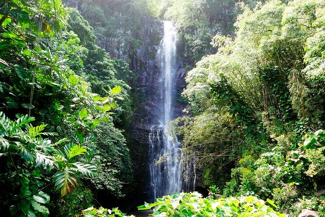 Road to Hana Rainforest, Black Sand Beach, Waterfalls & Lunch - Keʻanae Point and the banana bread stop