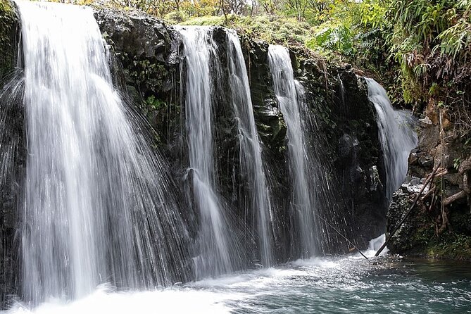 Road to Hana Small-Group, Waterfalls, Black Sand Beach & Pickup - Lunch at Hāna Ranch Restaurant