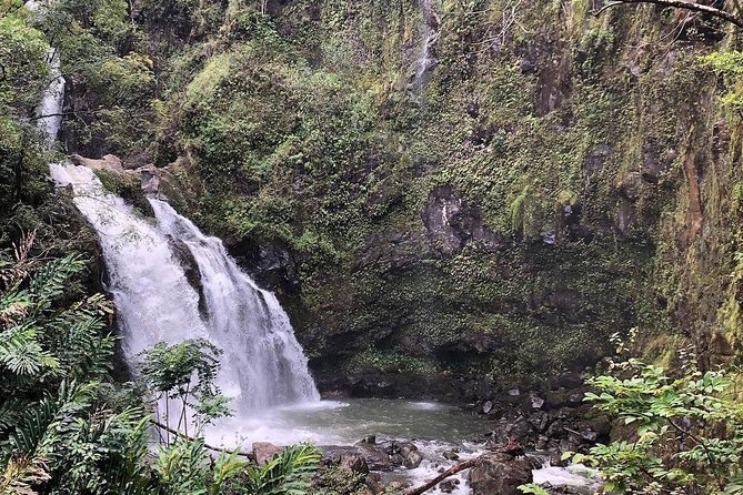 Road to Hana Tour - Best of Maui - Starting in Paia at 7:30 am