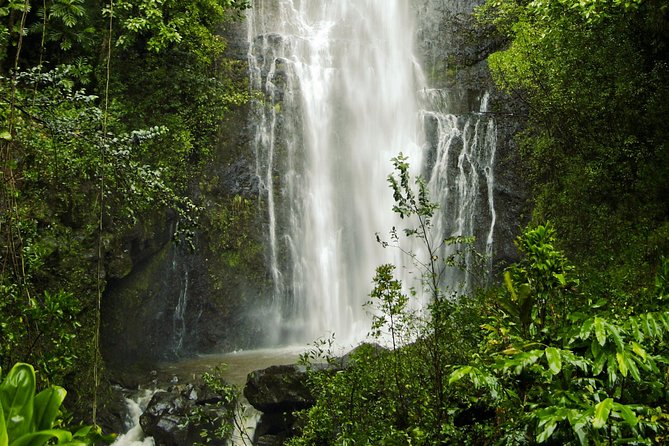 Road to Hana Tour with Lunch and Pickup - Lunch at a Local Flower Farm