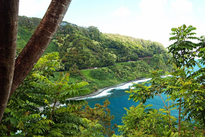 Road to Hana Tour with Lunch and Pickup - Guides, Stories, and the Personal Feel