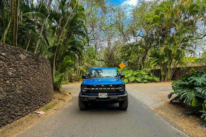 Scenic Coastal Adventure In 4x4 With Turtle Town Snorkel + Photos - Is $249 a Fair Price?