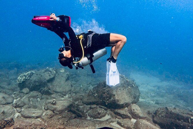 Scuba Diving in Maui with No Experience Needed - Key points to know before you book
