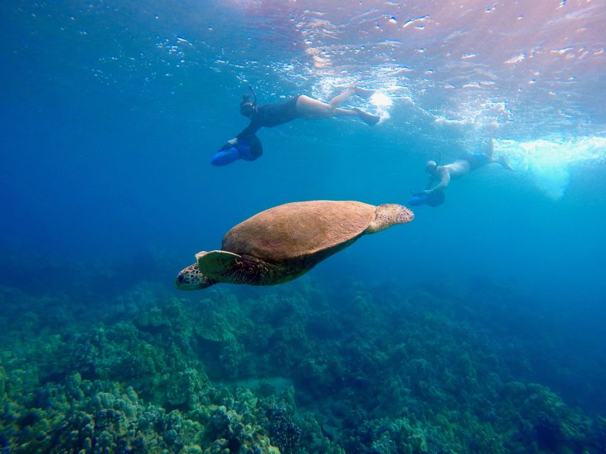 Sea Scooter Snorkeling Guided Tour - Wailea Beach - Key points at a glance
