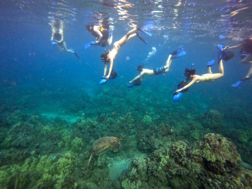 Sea Scooter Snorkeling Guided Tour - Wailea Beach - Is $149 a fair price?