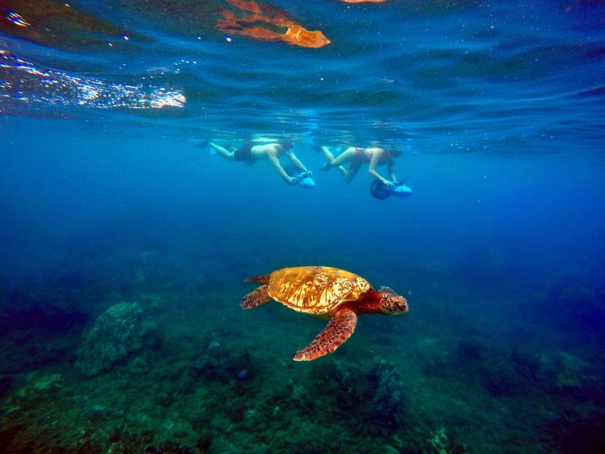 Sea Scooter Snorkeling Guided Tour - Wailea Beach - Who will enjoy this Wailea tour most?