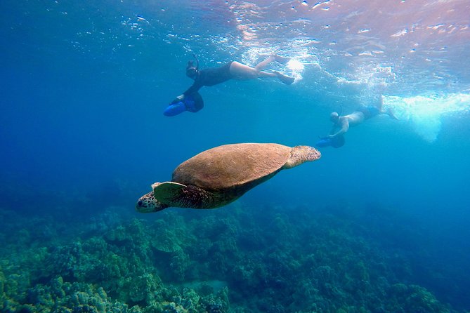 Sea Scooter Snorkeling Tour with GoPro - Wailea Beach - Starting at Wailea and entering Makena Bay