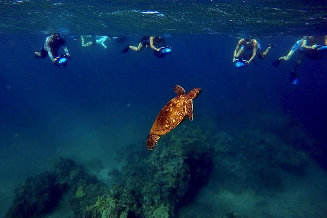 Sea Scooter Snorkeling Tour with GoPro - Wailea Beach - Photos and video: useful, but not included