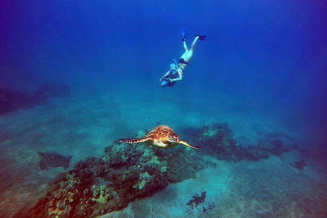 Sea Scooter Snorkeling Tour with GoPro - Wailea Beach - Is $149 a fair price?