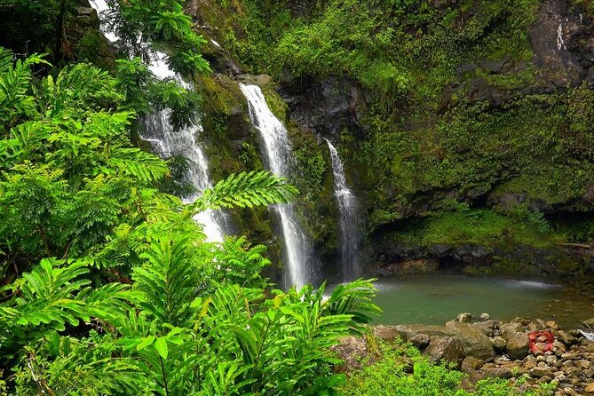 Self-Guided Audio Driving Tour in Road To Hana - Ke‘anae Arboretum offers color without a fee