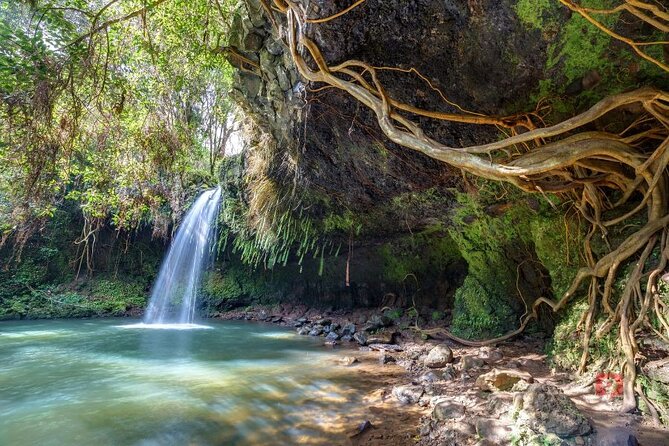 Self-Guided Audio Driving Tour in Road To Hana - Rainbow Eucalyptus and lava tubes add variety
