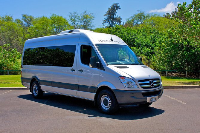 Shared Arrival Transfer: Maui Airport to Hotel - The lei option: a nice idea with one caution