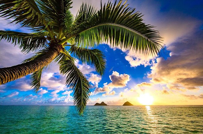 Shared Departure Transfer: Hotel to Maui Kahului Airport - Pickup timing and communication