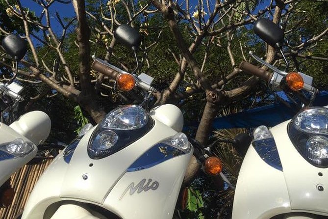 Single Passenger Moped/Scooter - 18+ NO Motorcycle License Needed - Who should book this experience